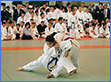 Explore Japan Image