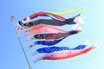 koinobori