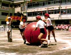field day