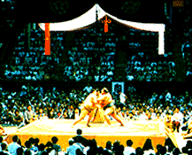 Sumo is Japan's national sport.