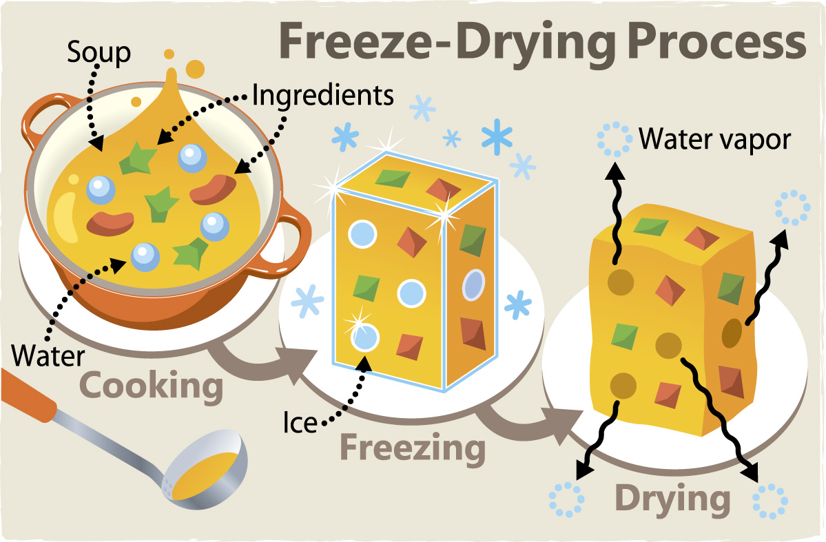 freeze-drying