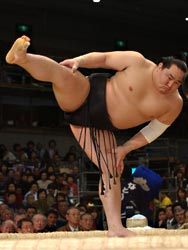 �摜