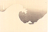 �摜