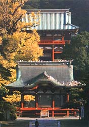 �摜