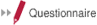 Questionnaire