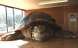 Gamera