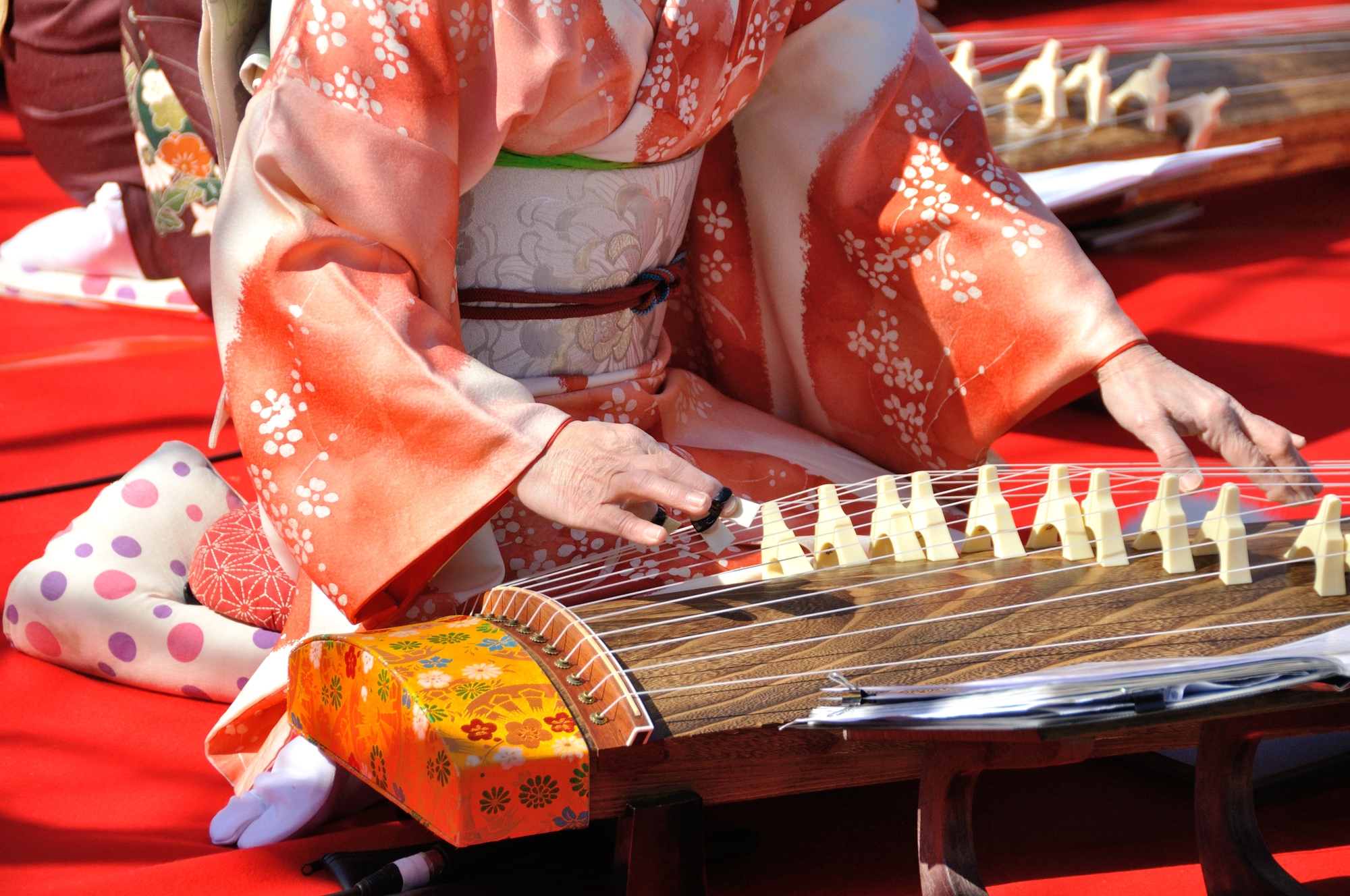 An ensemble of koto players.