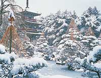 winter