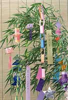 tanabata