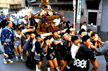 Carrying a mikoshi shrine at a summer festival.