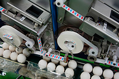 The robot seals the packages ready for shipping