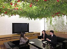 Tomatoes are grown on the ceiling of a reception room.