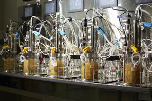 Equipment for cultivating bacteria for spider silk (courtesy of Spiber Inc.)