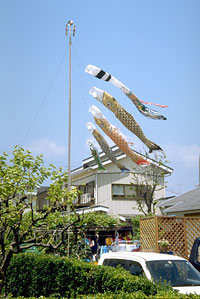 koinobori