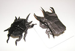 origami beetles