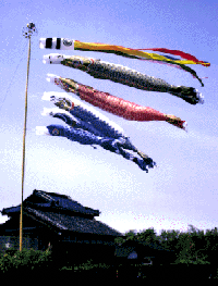 koinobori