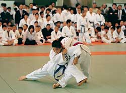 judo