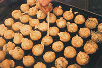 takoyaki