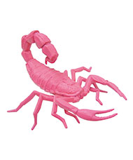 A scorpion-shaped eraser.