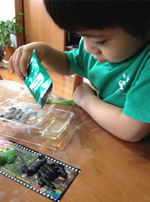 A boy concentrates on making insect-form gumdrops. (Photo with cooperation of Kracie)