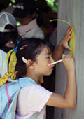 A girl writes her own haiku on a tanzaku, or a narrow slip of paper, at Shinjuku Gyoen National Garden.