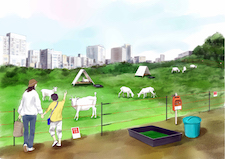 An illustration of the ideal environment and necessary equipment drawn up by α Green, a company with a patent to manage green spaces using goats. There are fences, resting places and drinking water provided