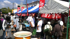 A photo of the “Festival of coming fortune and <i>mankei-neko</i> in Seto”（provided by Seto City Exchange Club）