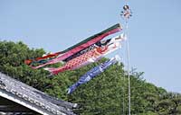 koinobori