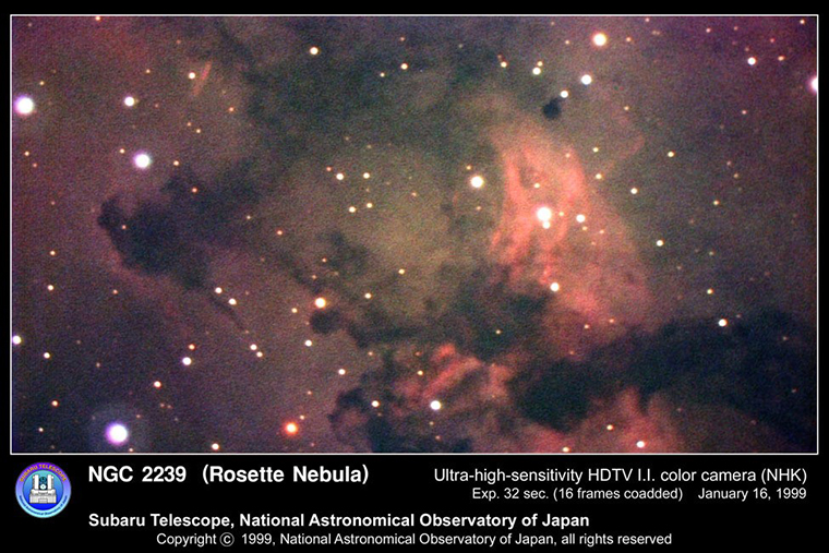 A photo taken at Subaru of the Rosette Nebula, 2,600 light years from the Earth. ©NAOJ