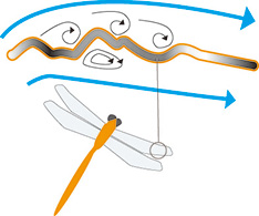 Dragonfly wings create eddies of wind in the air. (Based on research by Professor Hideki Ishida of Tohoku University.)