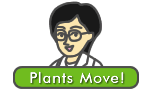 Plants Move!