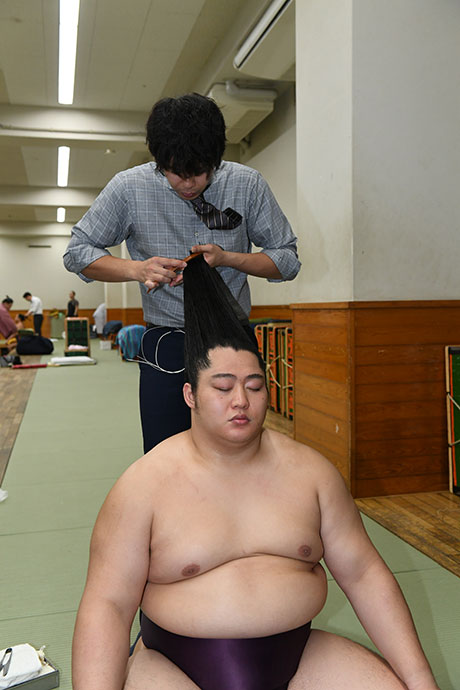 Getting a topknot (Japan Sumo Association)