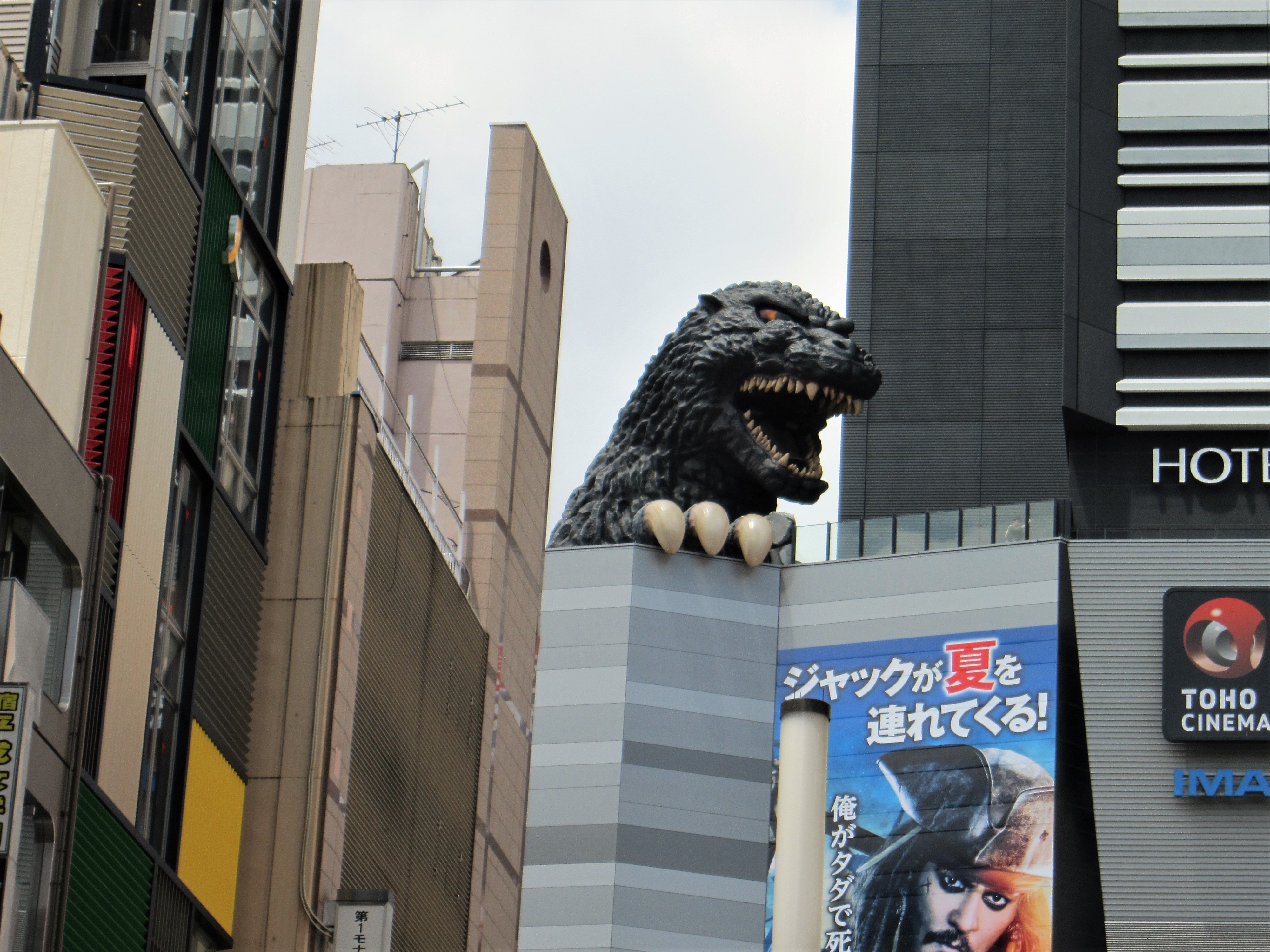 東京の繁華街・新宿ではビルの上からゴジラが顔をのぞかせています。