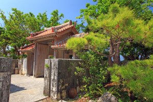 沖縄の家のまわりには、台風に備えて樹木が植えられています