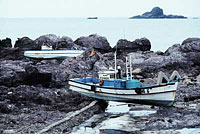 �X�}�g�������n�k