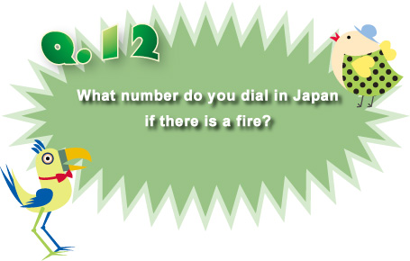 Question 31