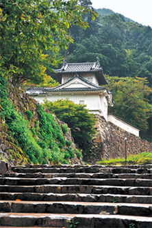 Ruinas del Castillo de Izushi