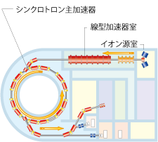 世界初の医療専用重粒子線加速器HIMAC