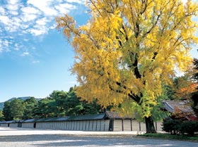 Kyoto Imperial Palace 280180