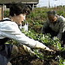 Survey Shows That Japanese Emphasize Environment over Higher Standard of Living