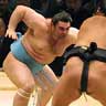 SUMO GOES INTERNATIONAL