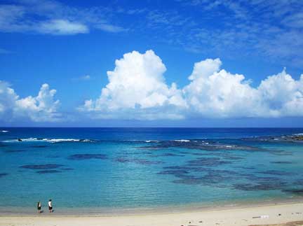 Amami Oshima is surrounded by beautiful blue ocean. (C)Amami City