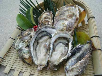 Hiroshima is famous for its tasty oysters. (C)Hiroshima Prefecture