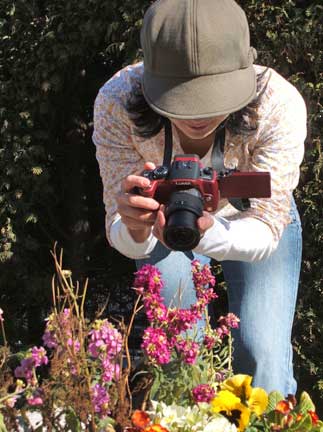 Flowers are also a popular subject. (C)Japan Echo Inc.