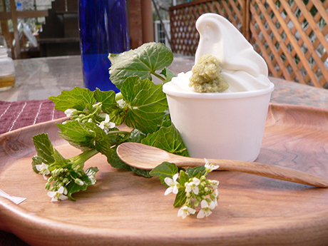 Soft serve with grated fresh wasabi topping. ©Izu City