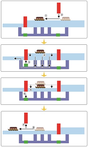 Ogibashi Lock Gate mechanism