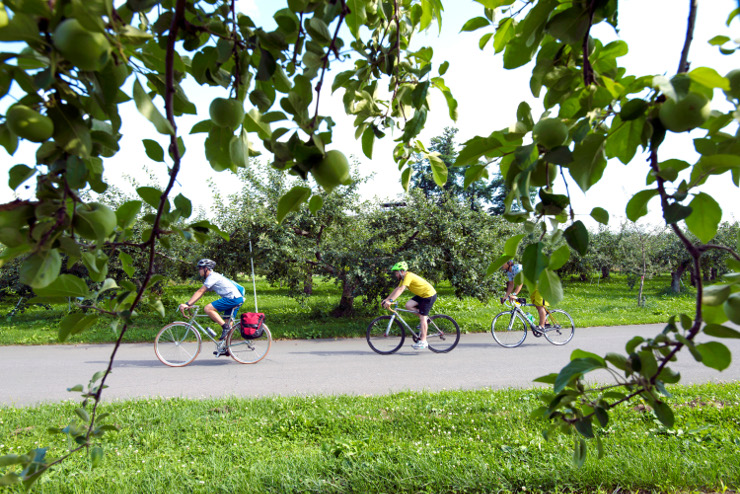 "Apple Road"- Hirosaki City, Aomori Prefecture (Courtesy of Aomori Prefecture)