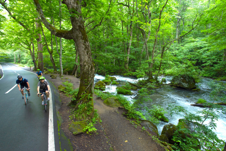 “Towada Lake Green Road” - Towada City, Aomori Prefecture (Courtesy of Aomori Prefecture)