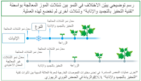 (الصورة من D&T Farm)