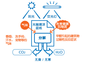 照片